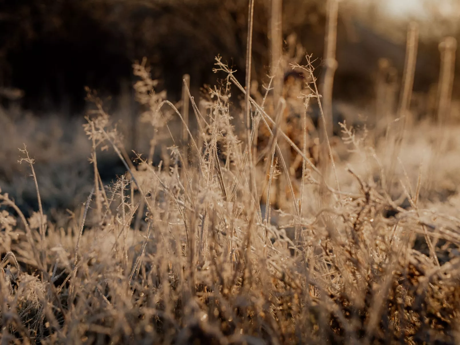 FlowFort - Riesengebirgsblick Spa Wellness-Outside