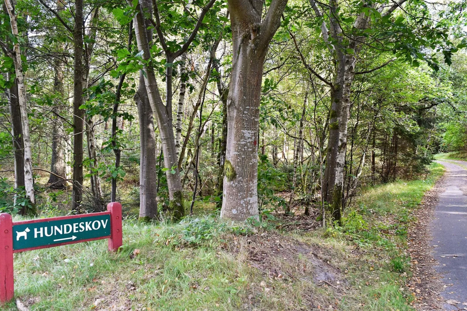 4 person holiday home in Ulfborg-By Traum-Untagged