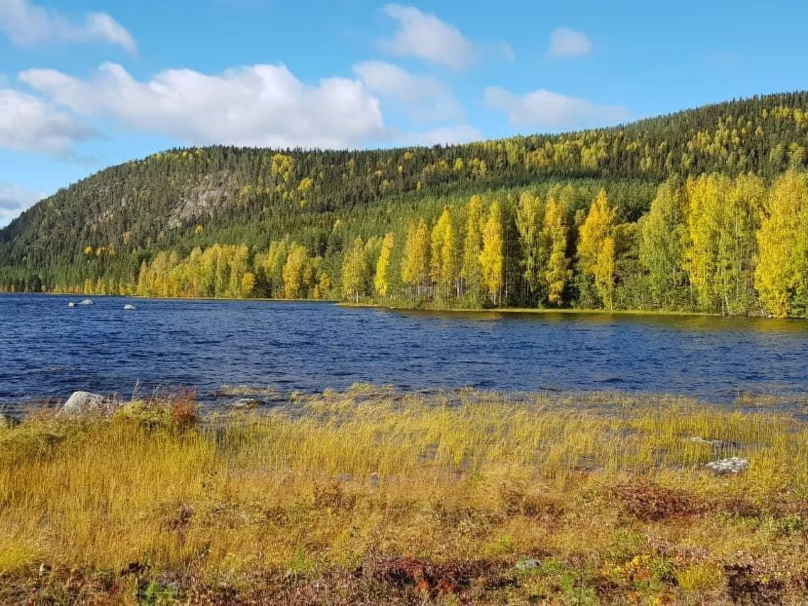 Gemütliches Ferienhaus Angermanland - höga Kusten-Draußen