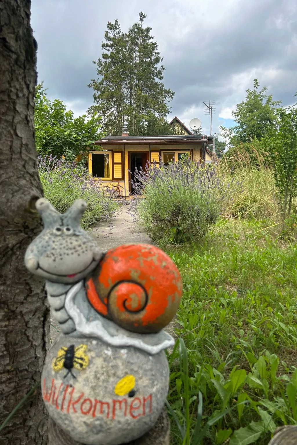 Datscha im Grünen-Draußen