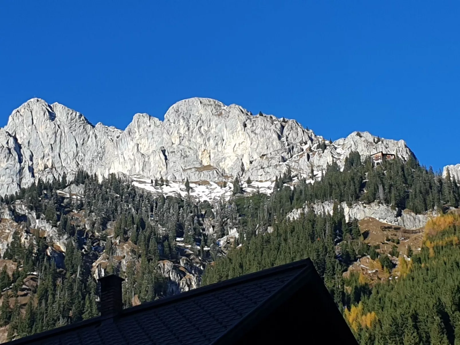 Fewo Alpenrose-Outside