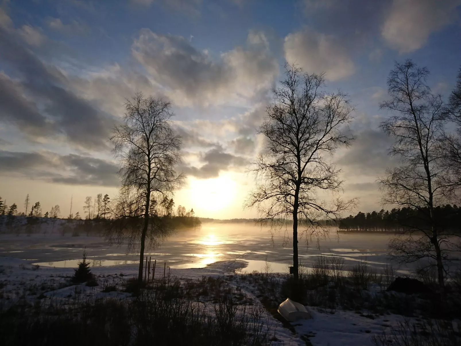 Saxarsviken-Draußen