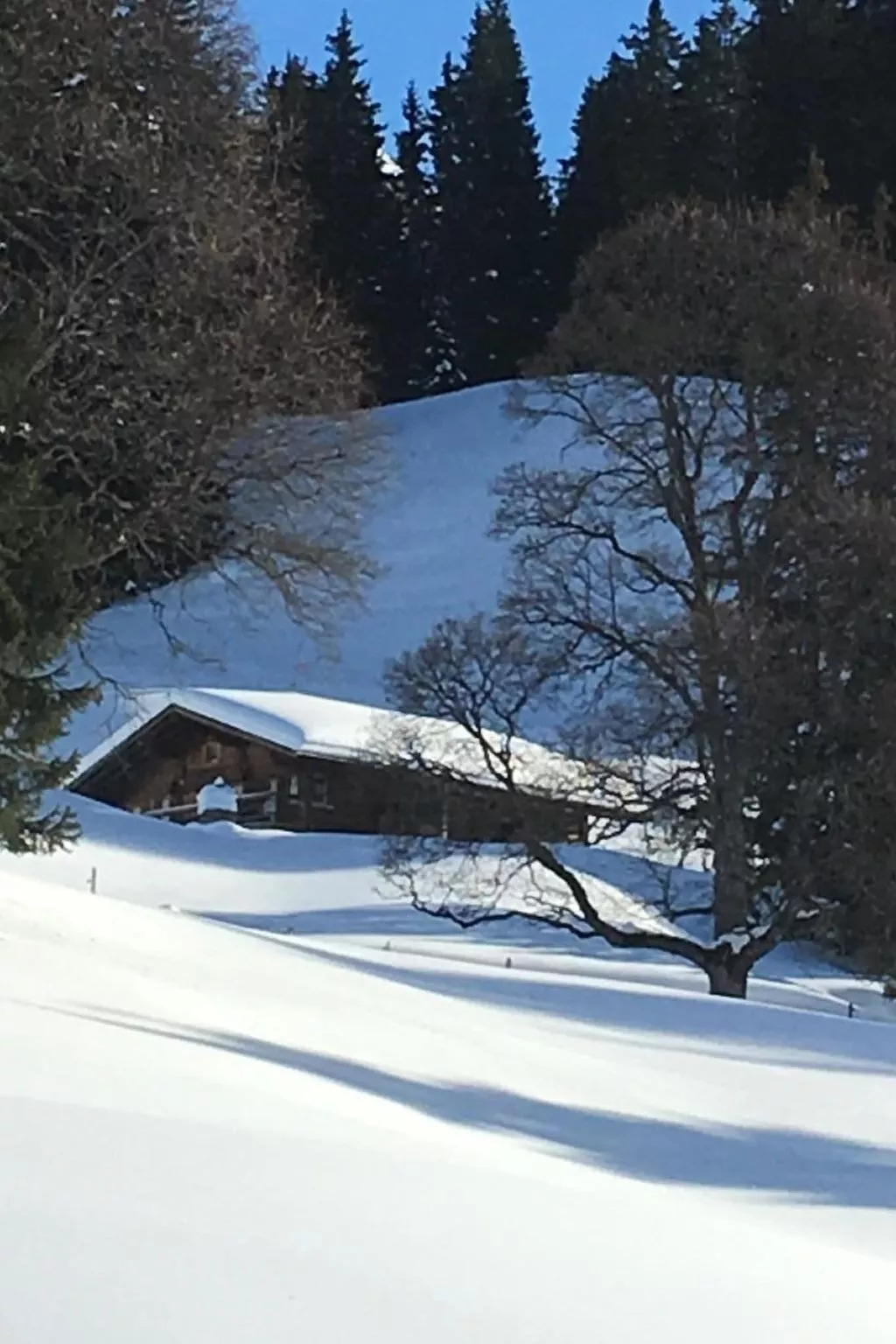 Fewo mit Herz-Draußen