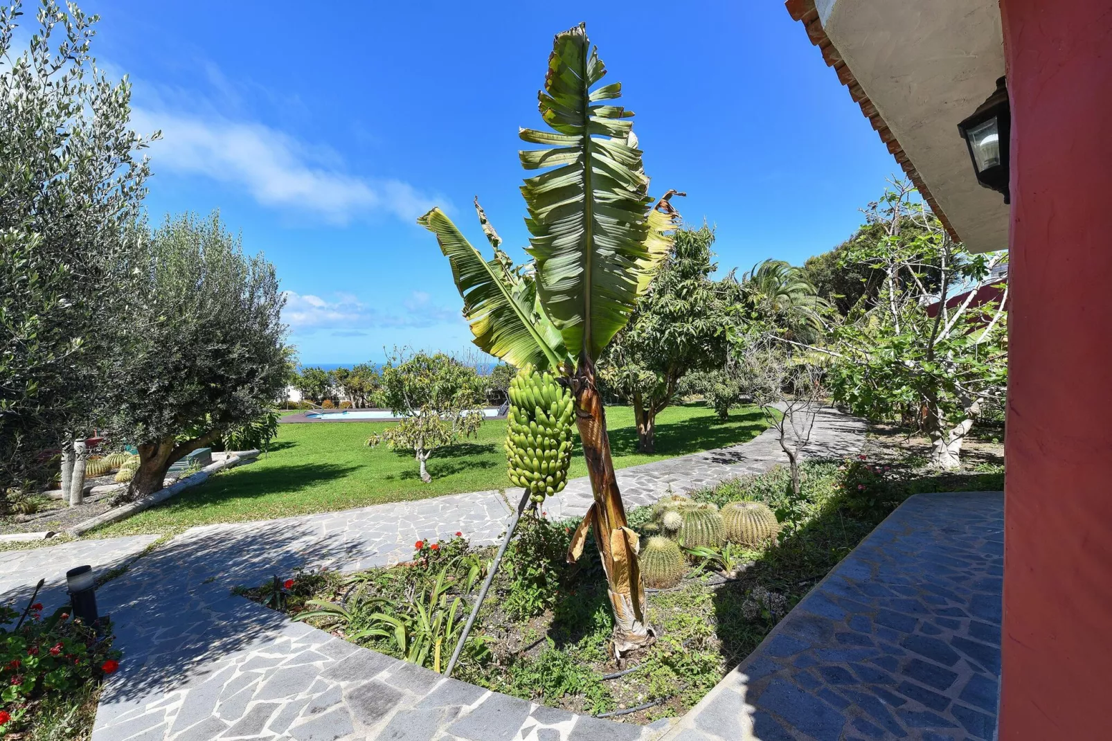 Villa Arucas 10-Gardens summer