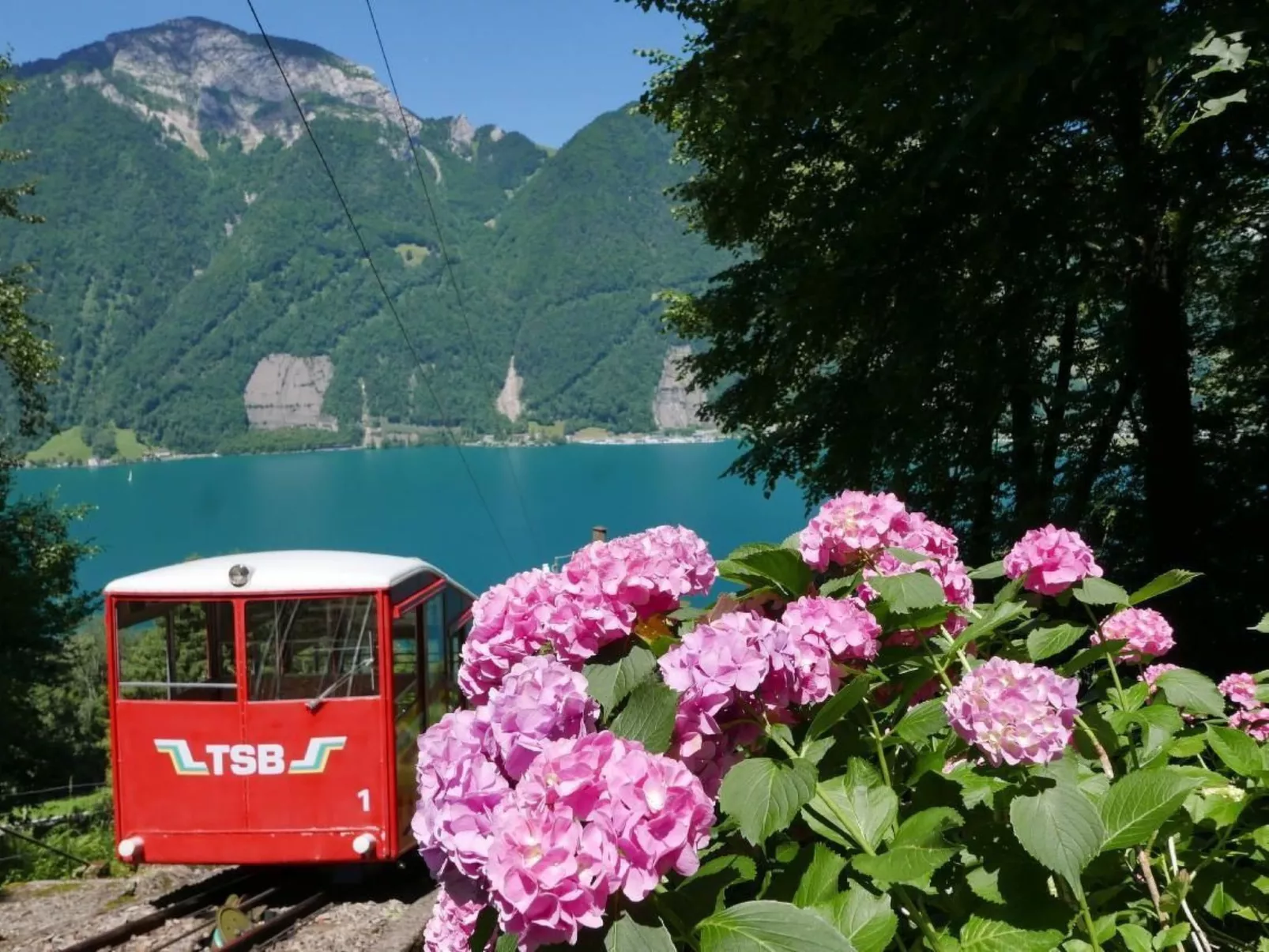 Villa Seelisberg mit Jacuzzi und Panoramablick-Draußen