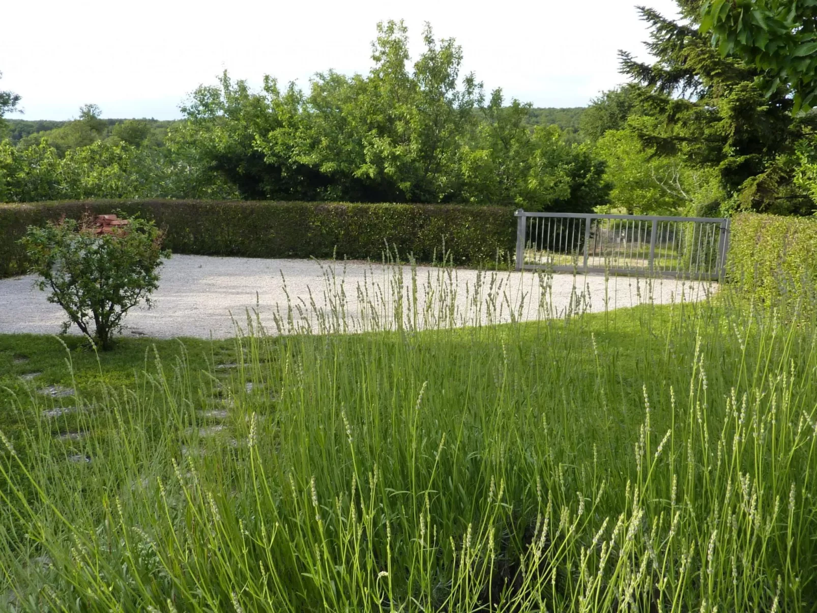 Freistehender Bungalow Perla mit Garten und Grill-Draußen