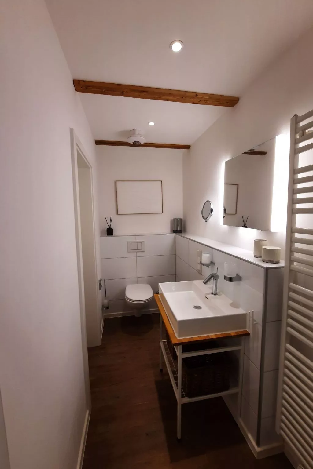 Lachmöwe by DeJu-Drinnen