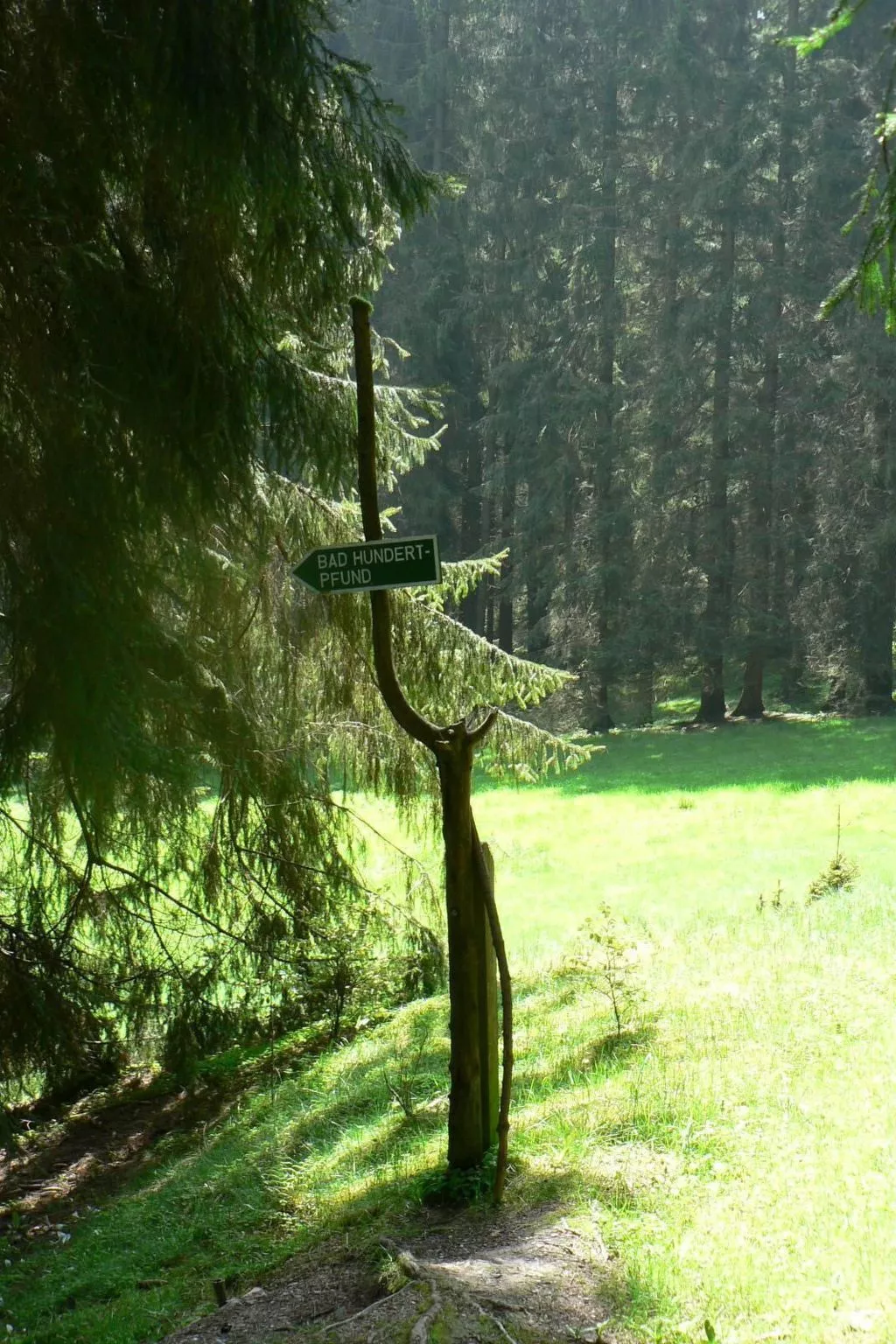 Für 6 Personen im Thüringer Wald-Draußen