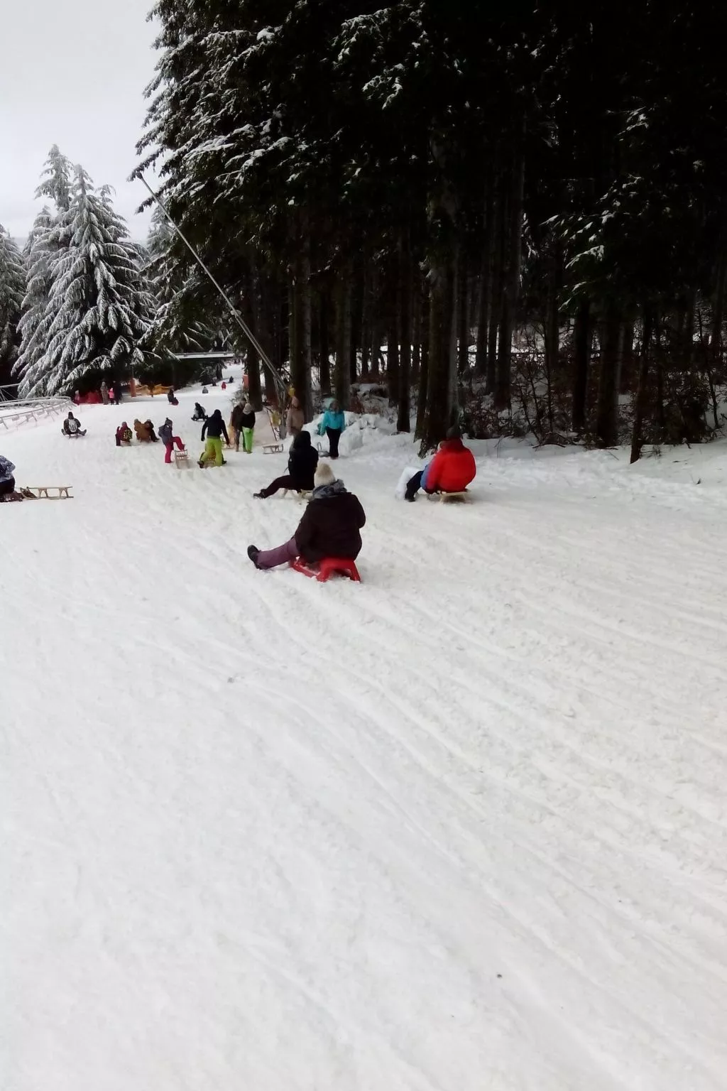 Cat'n'Boots Haus-Image-tags.info