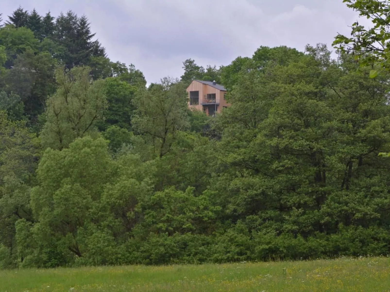 Moderner Holzhausneubau in der Eifel-Dehors