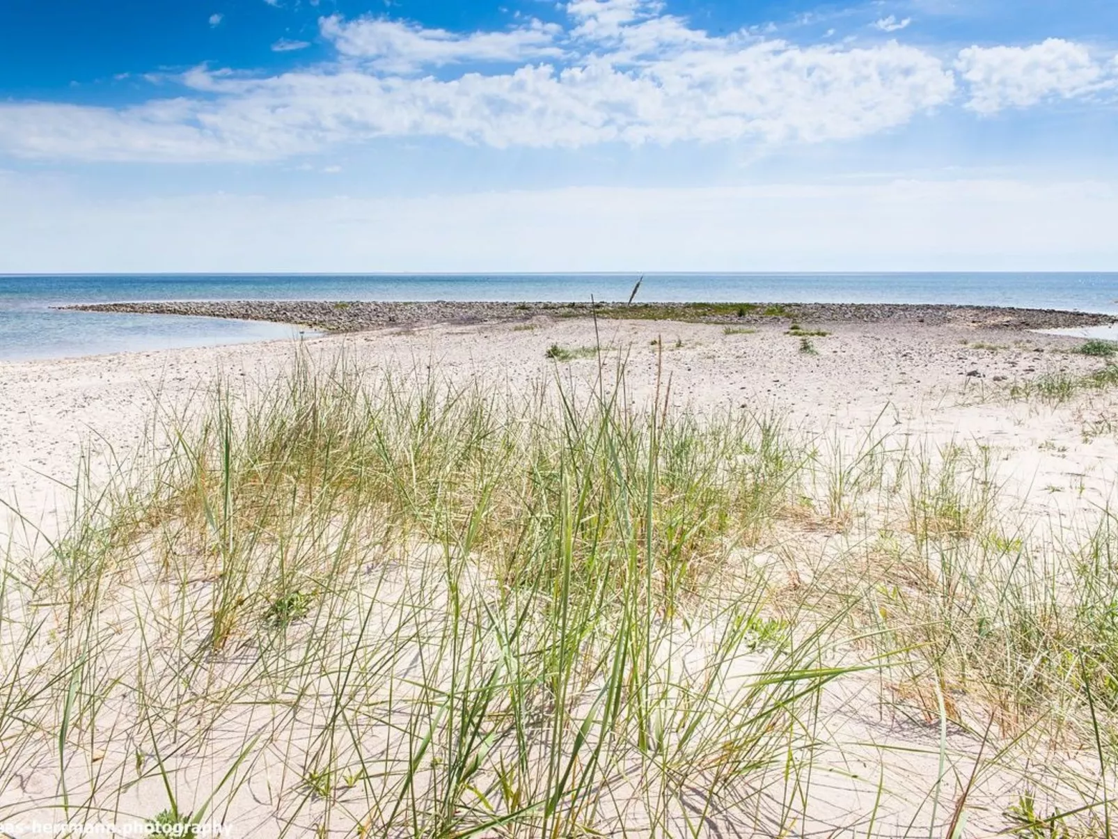 Ljugarn 2-Image-tags.info