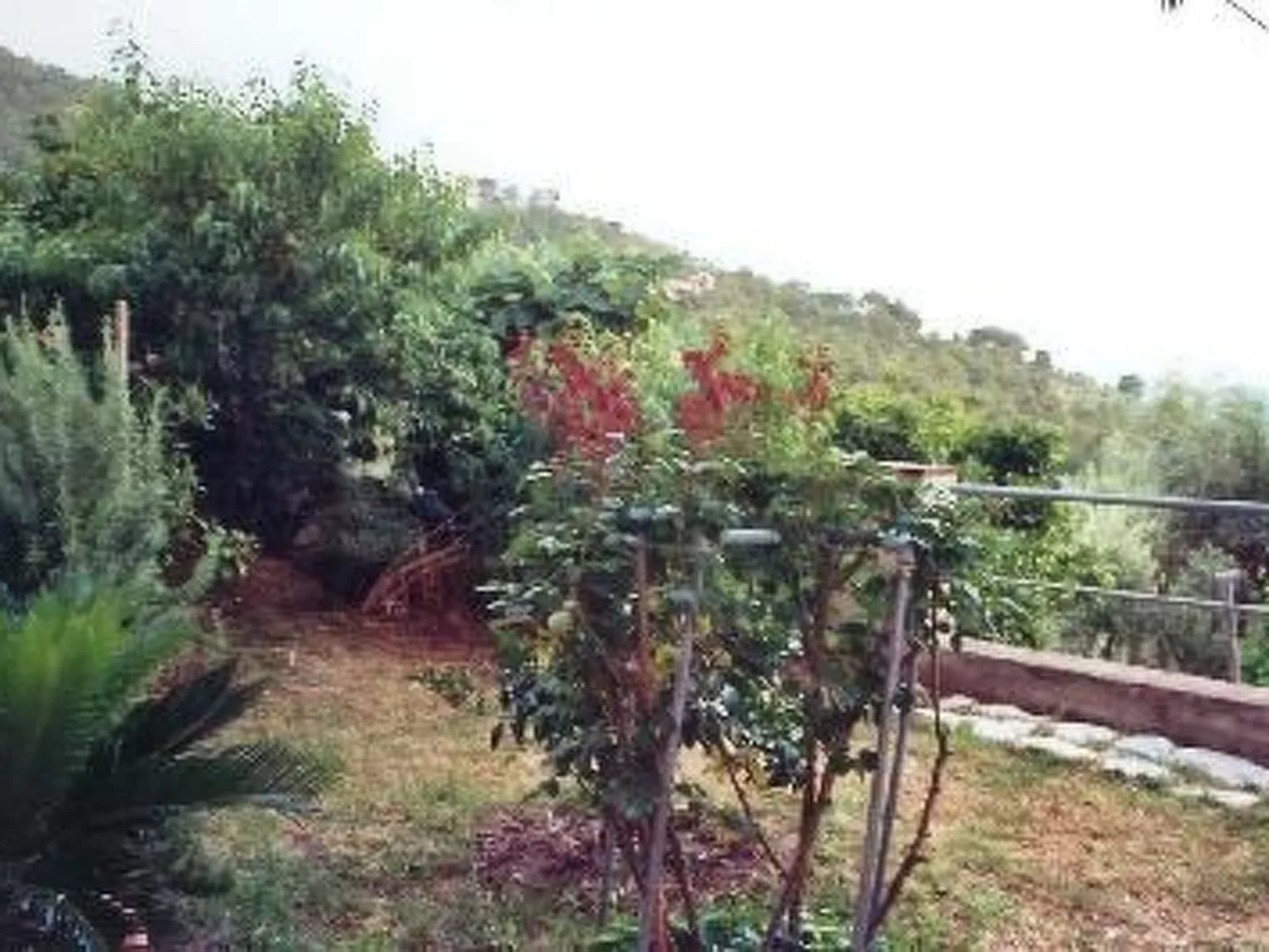 In panoramischer Lage-Image-tags.info