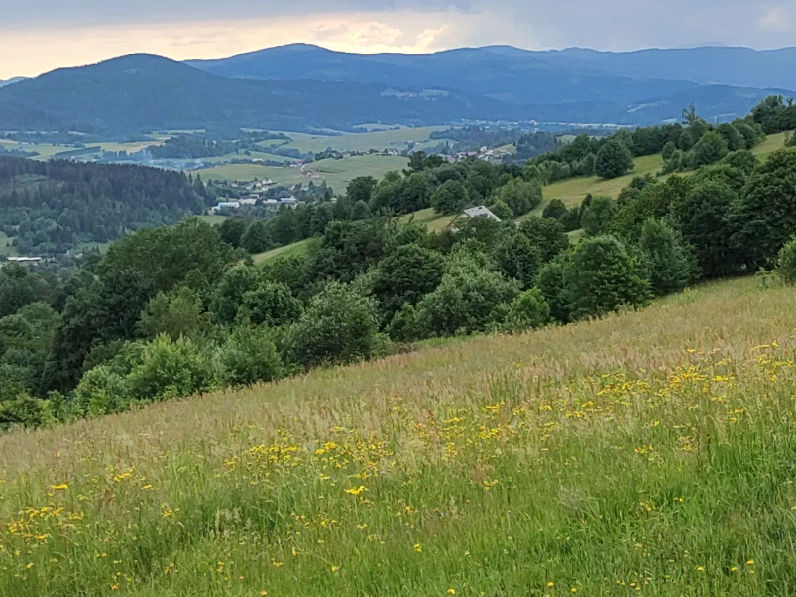 Modernes Ferienhaus in Kiczora mit Großem Garten - Draußen