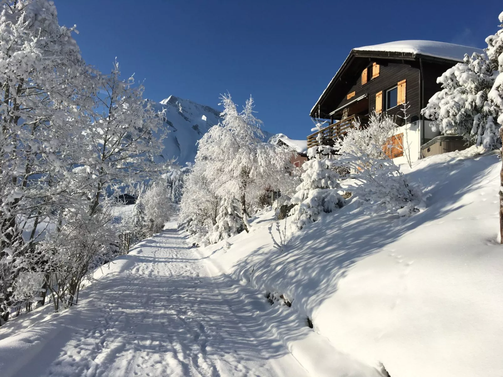Chalet Hörler-Draußen