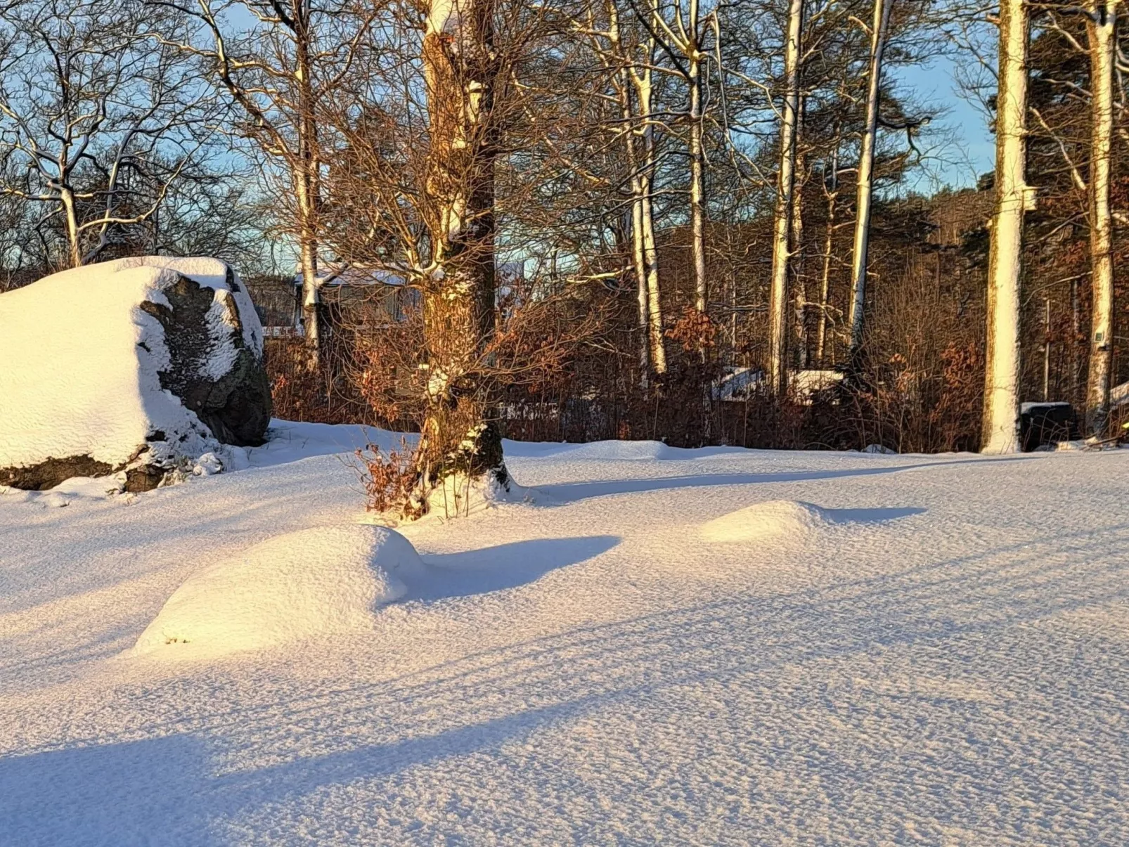 Schwedisches Glück, zwischen Wäldern und einem See-Dehors