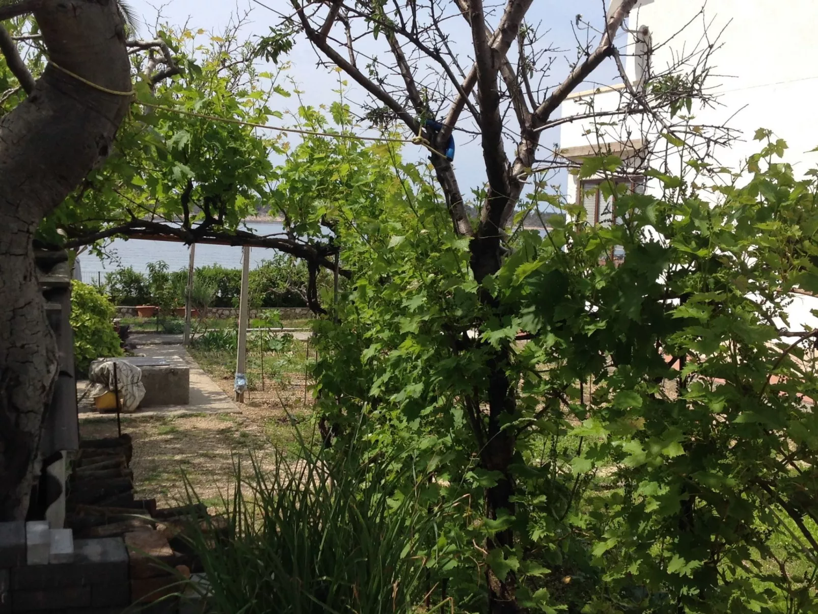 Wohnung 1 mit Meerblick-Draußen