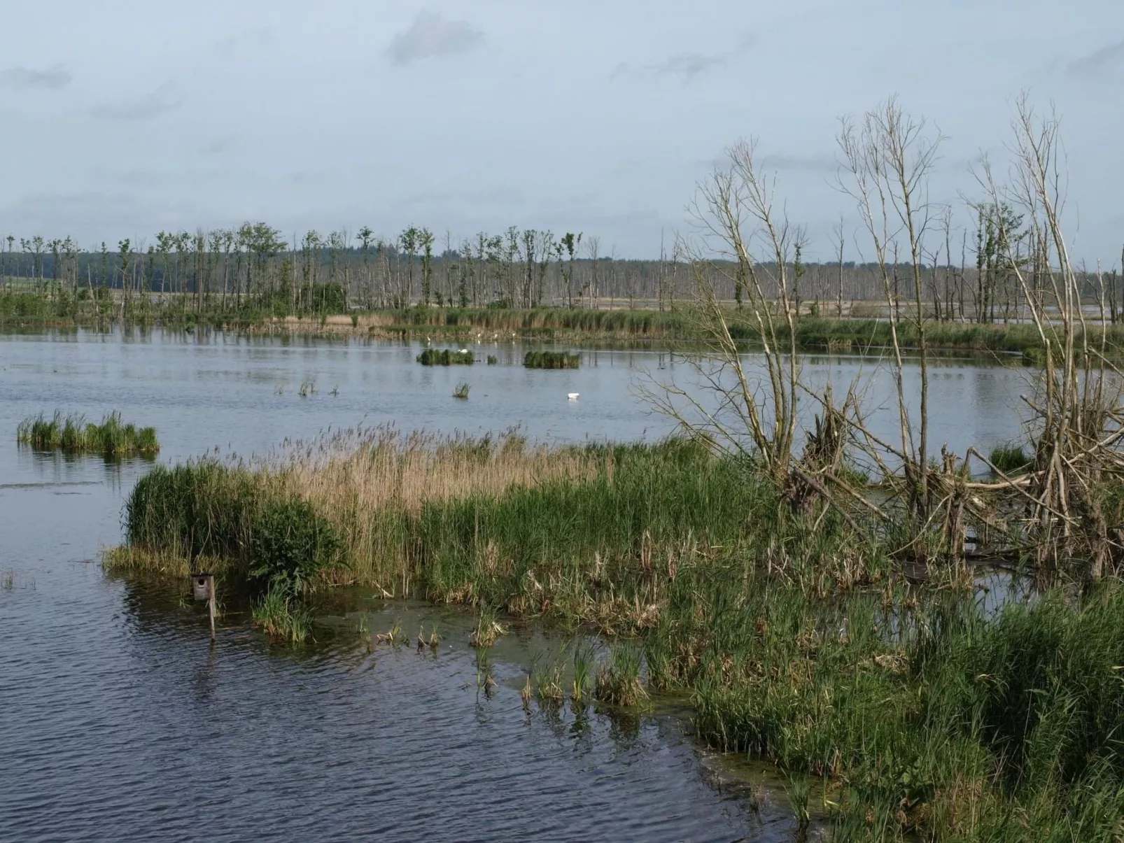 Klosterwald-Draußen