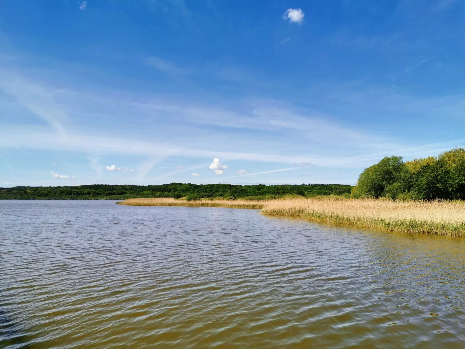 App. Seeblick-Image-tags.info