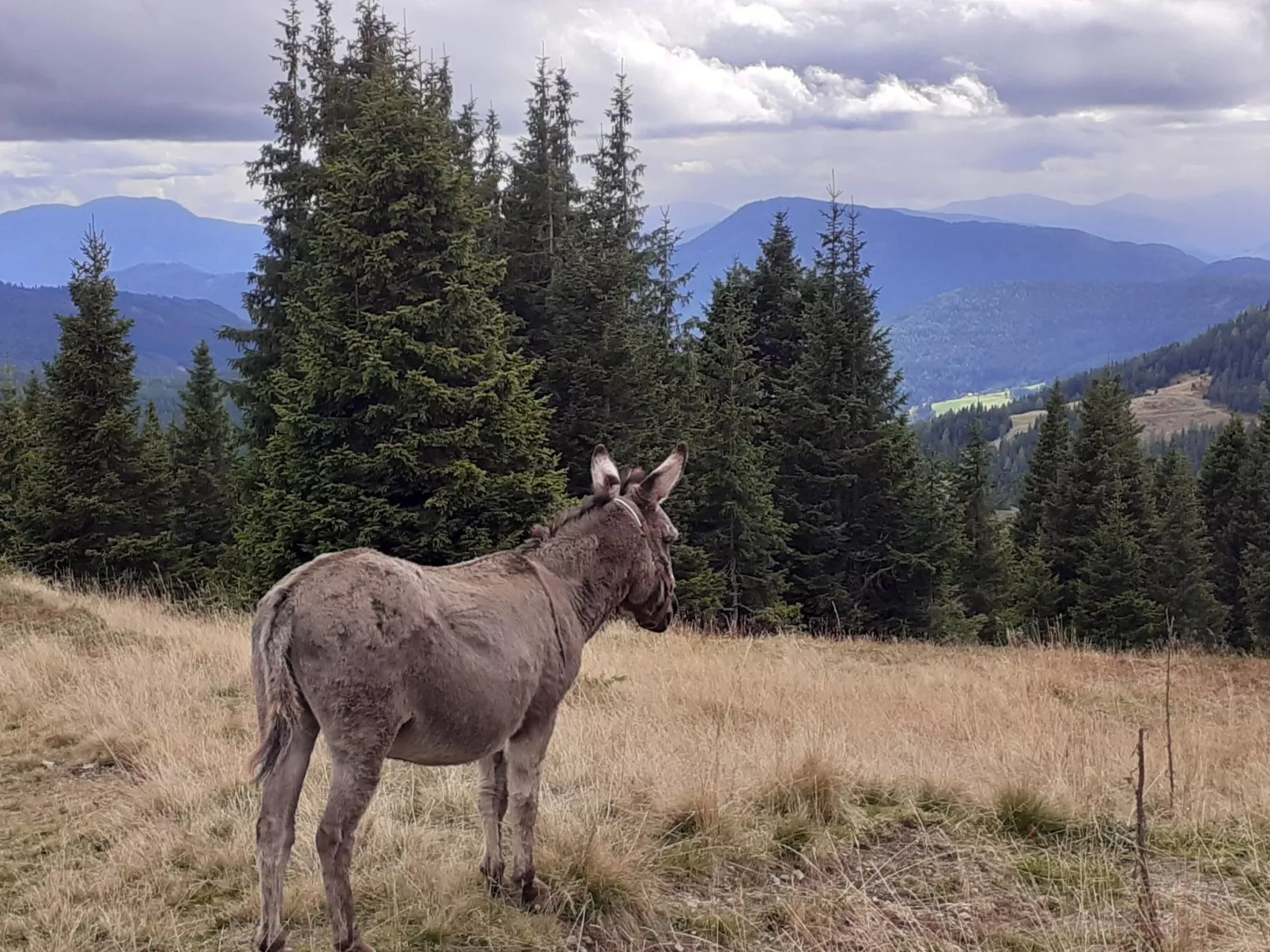 Lachtalhütte-Dehors