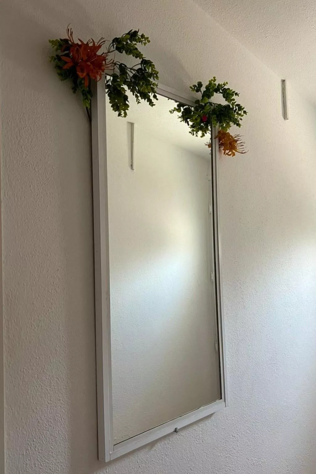 Wohnung Violett-Drinnen