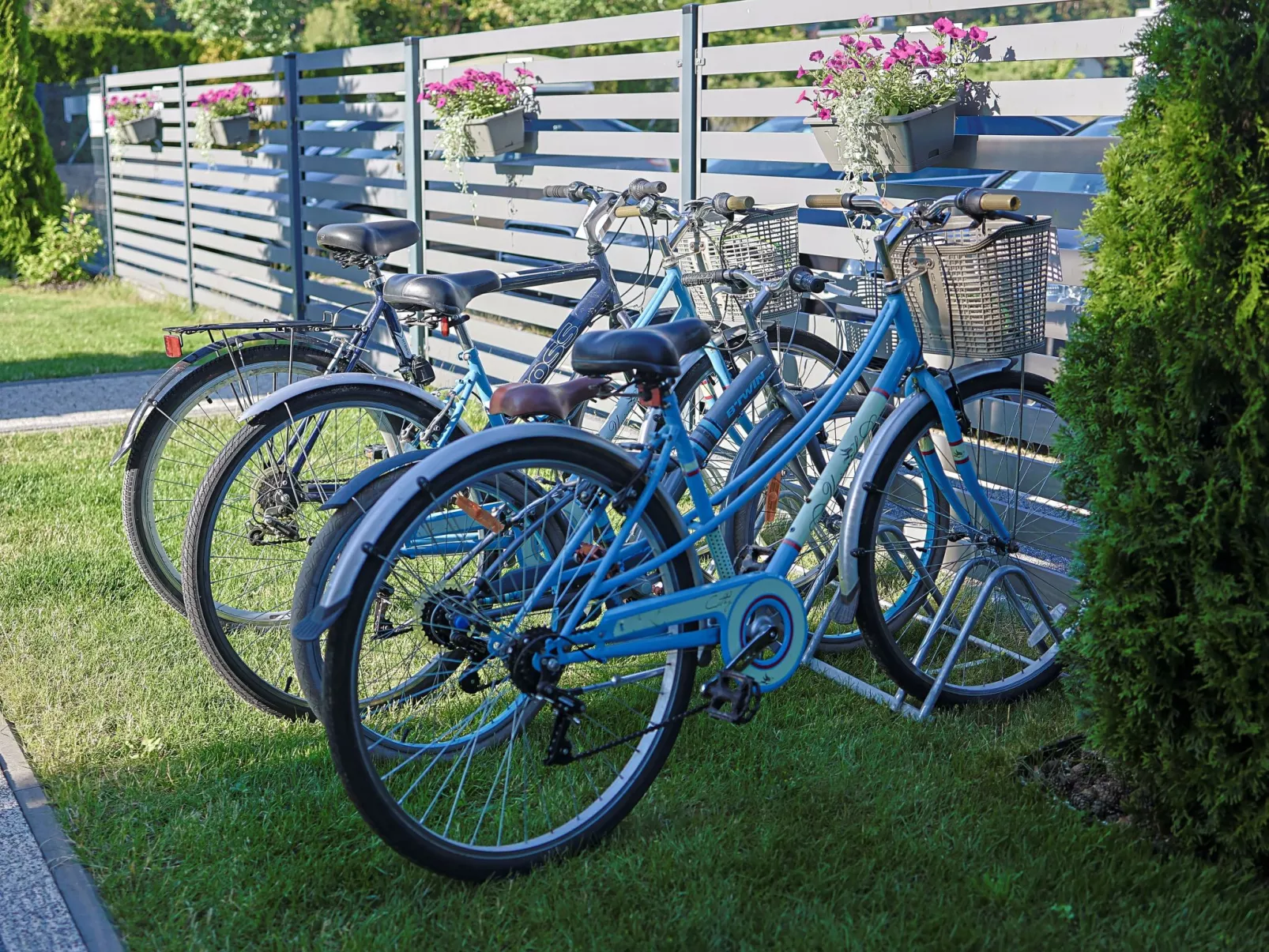 "Aurora" mit Terrasse-Draußen