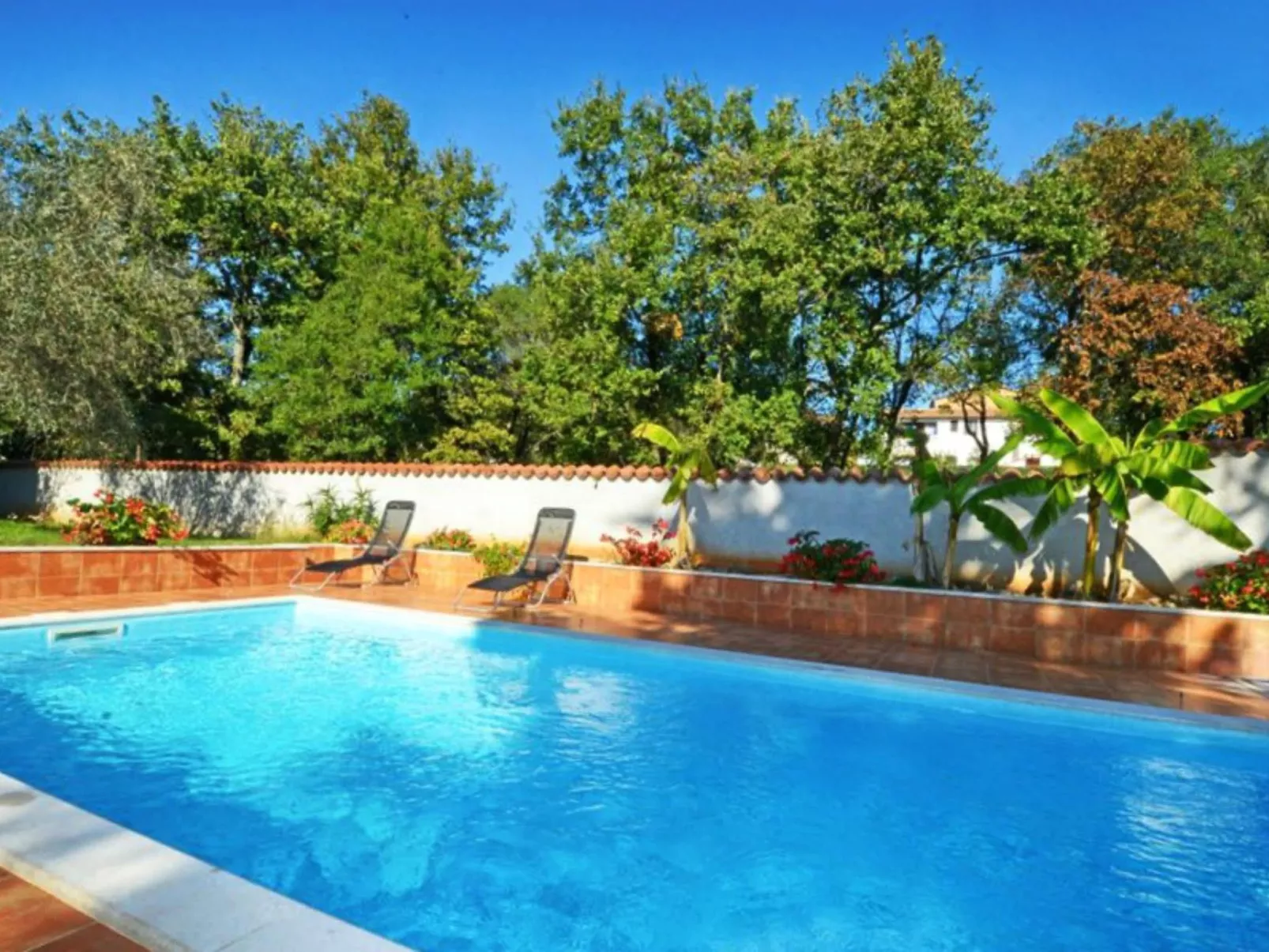 ALBINA STUDIO 5-Dehors