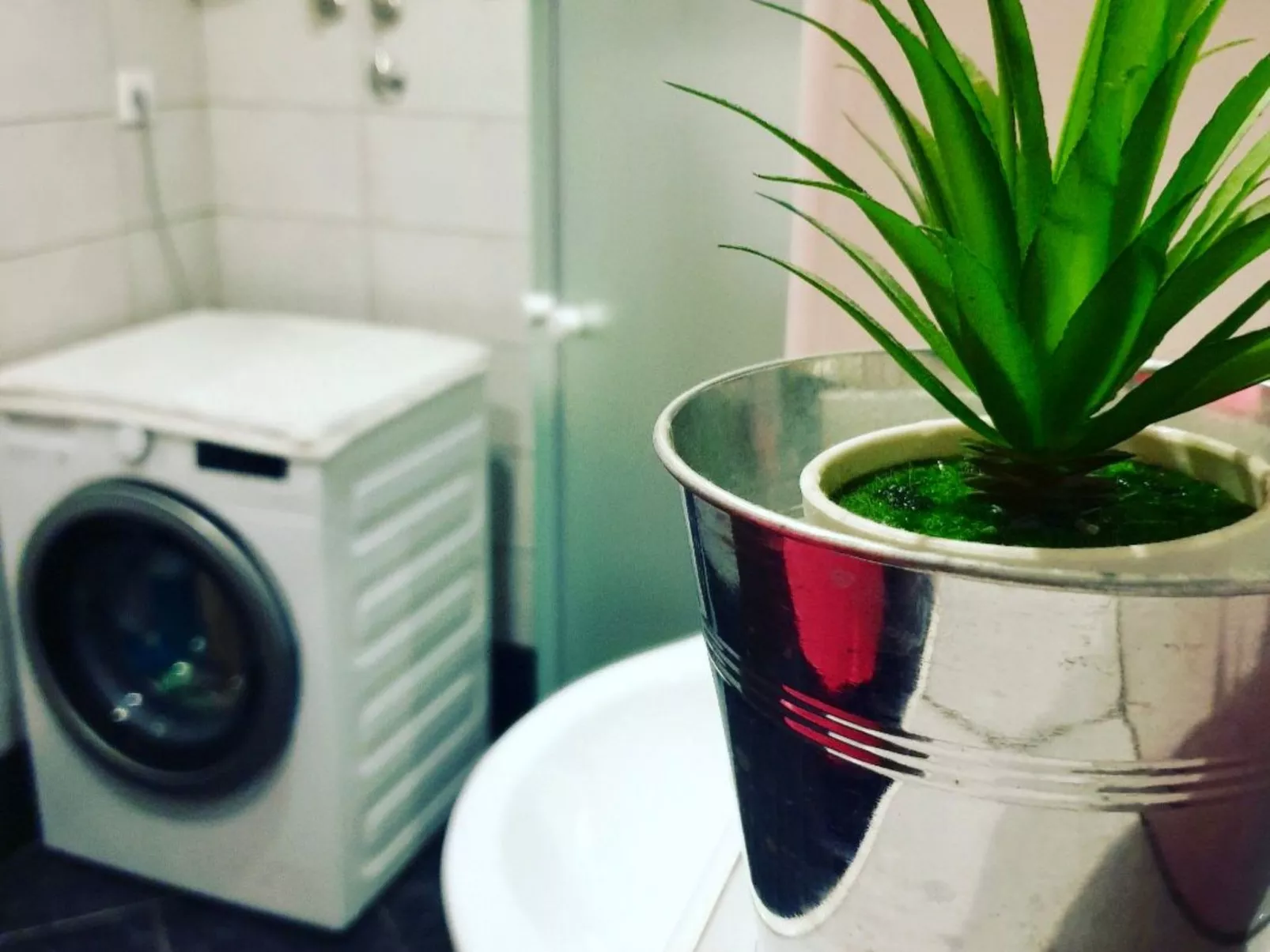 Fabo in Dalmatien-Dedans