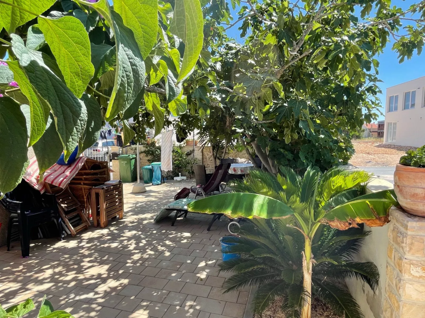 Delfin-Image-tags.info