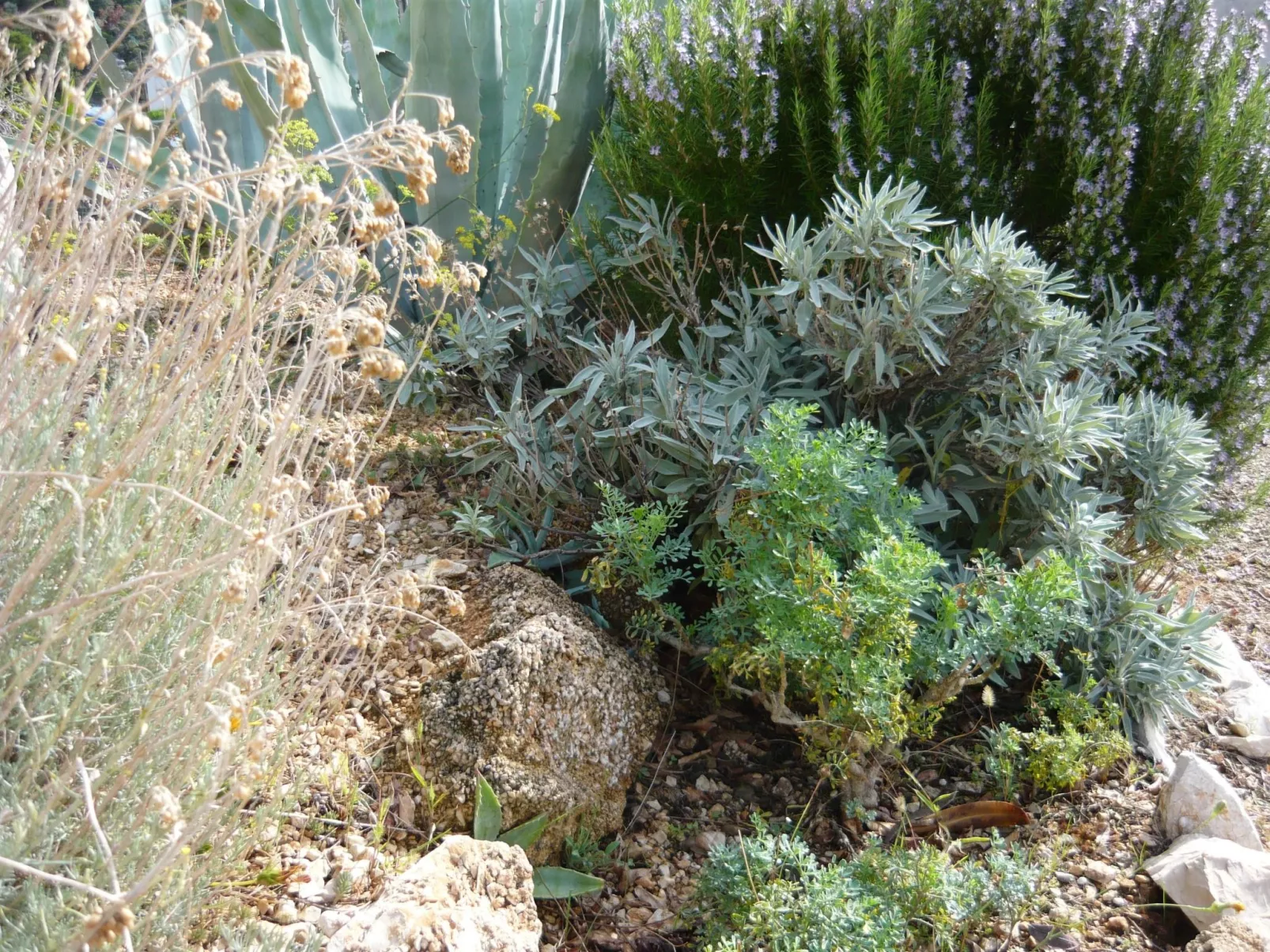 Insel Rab Jadro-Draußen