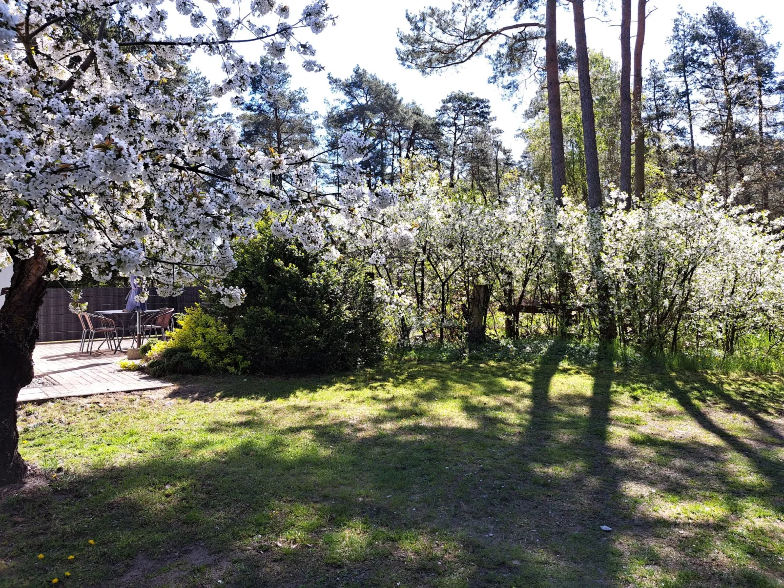 Mit Terrasse mitten im Grünen-Dehors