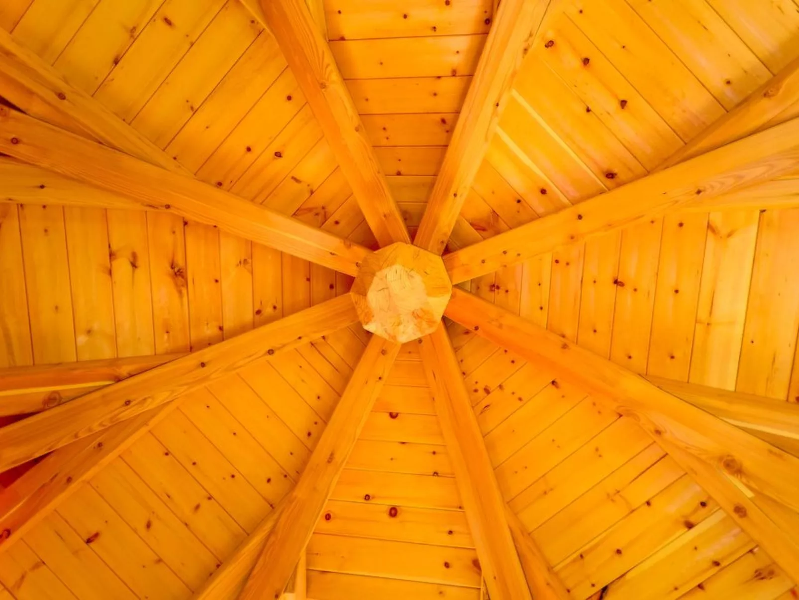 Das Almhaus in Bad St. Leonhard im Lavanttal-Draußen