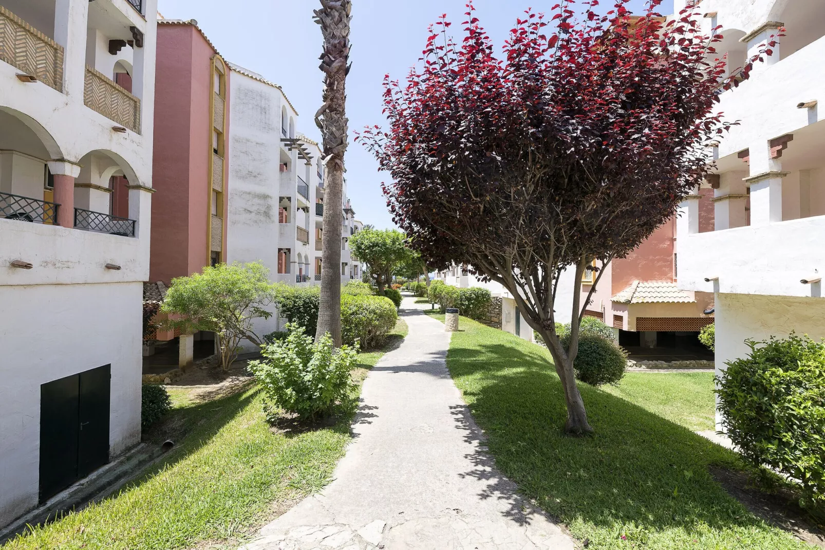 Corazon De Tarifa-Exterior summer