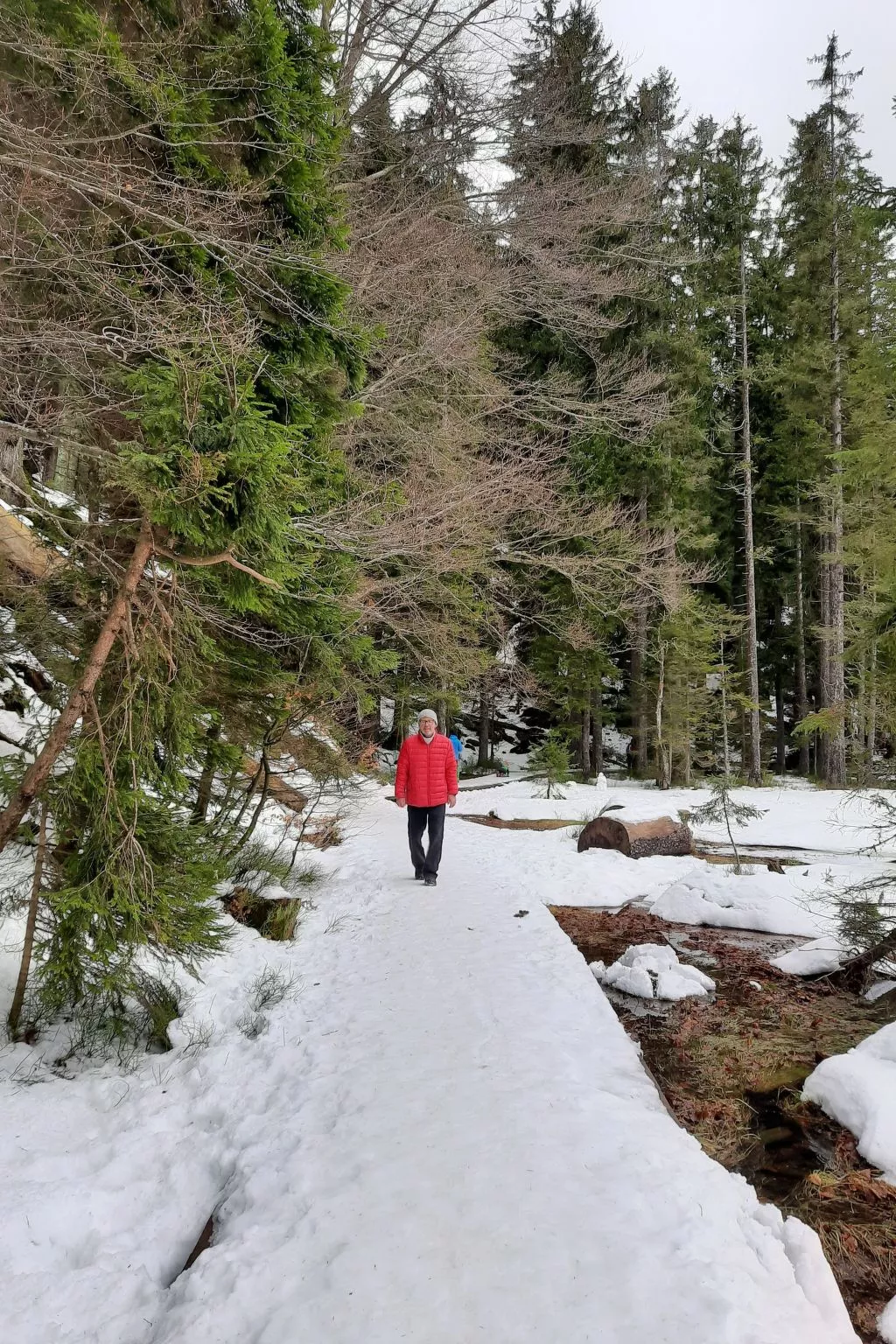 Seitz 2 in Bayerisch Eisenstein-Draußen