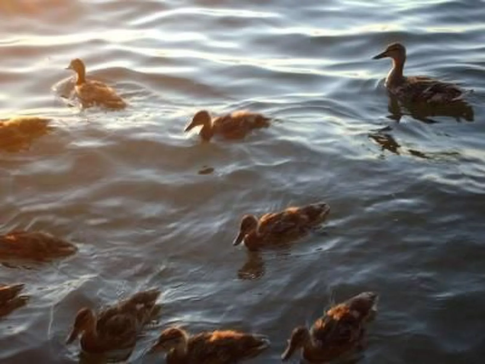 Uferpromenade 1 EG-Outside