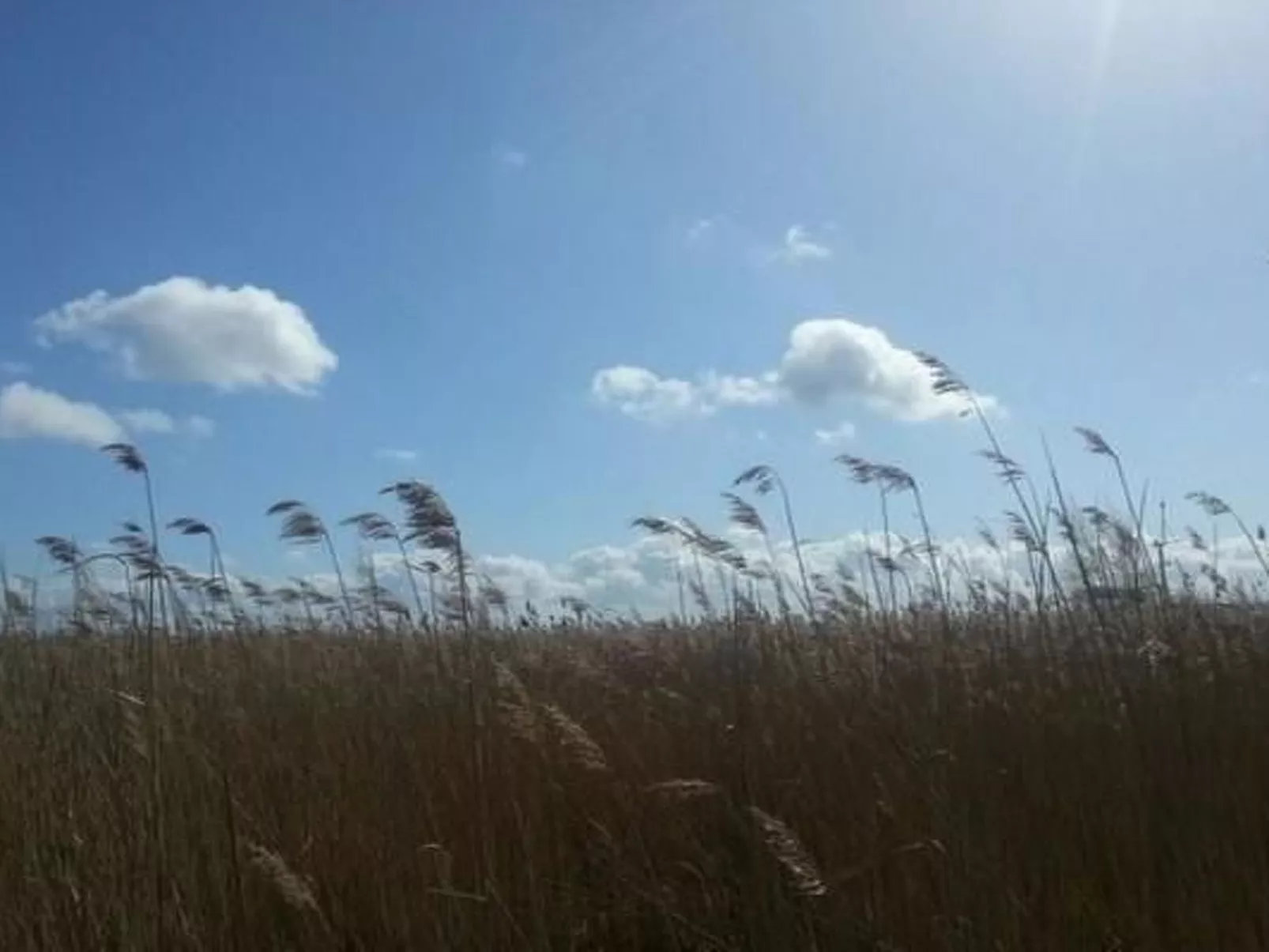 Familiäres, charmantes Appartement in Zingst-Outside