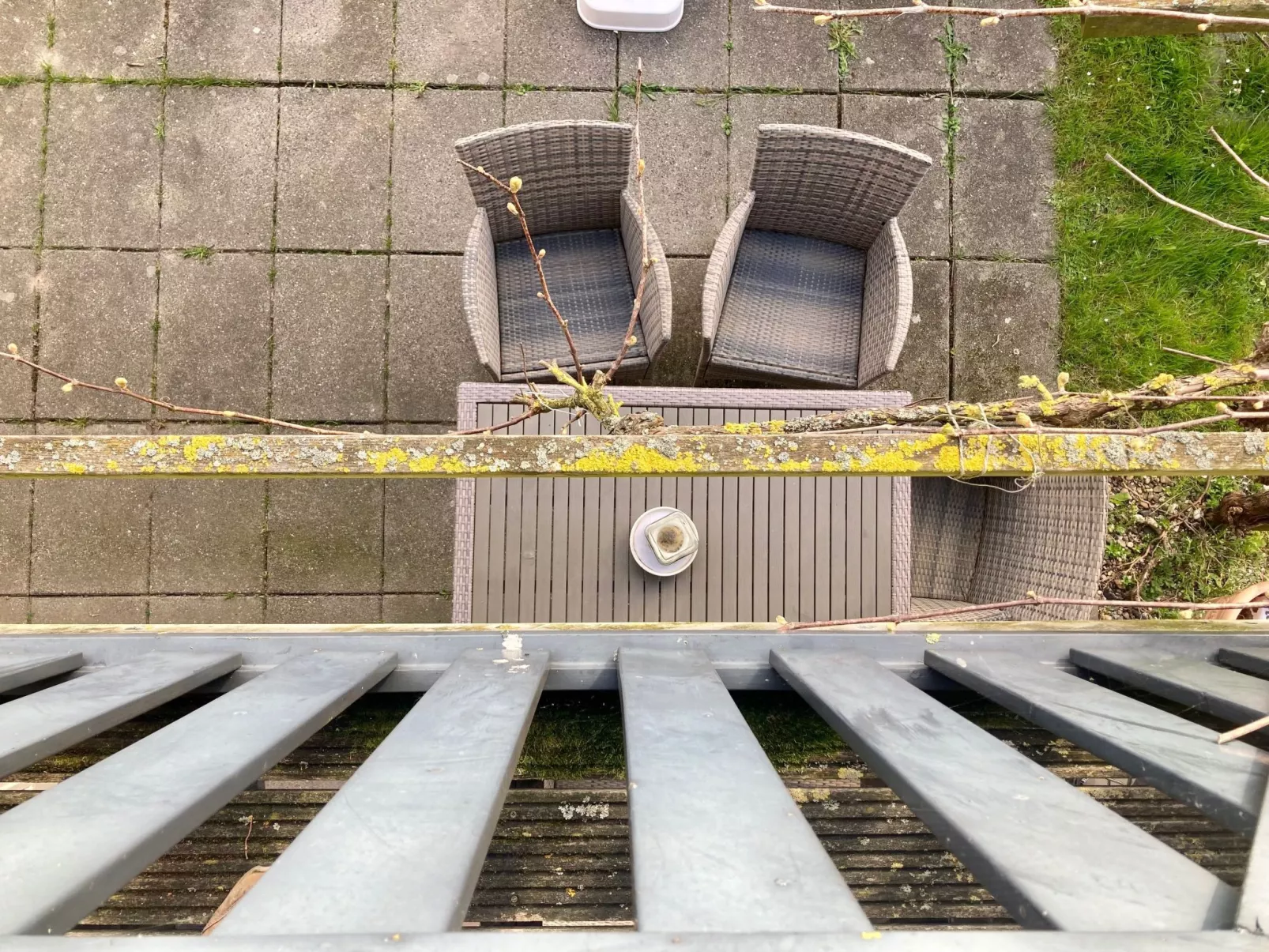 182 De Druif-Draußen