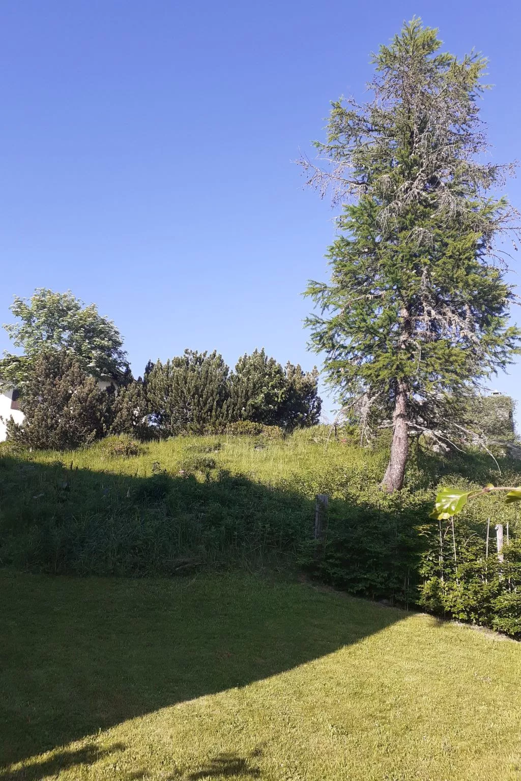 Wohnung Oberengadin - Maloja - Ca Val Forno-Draußen