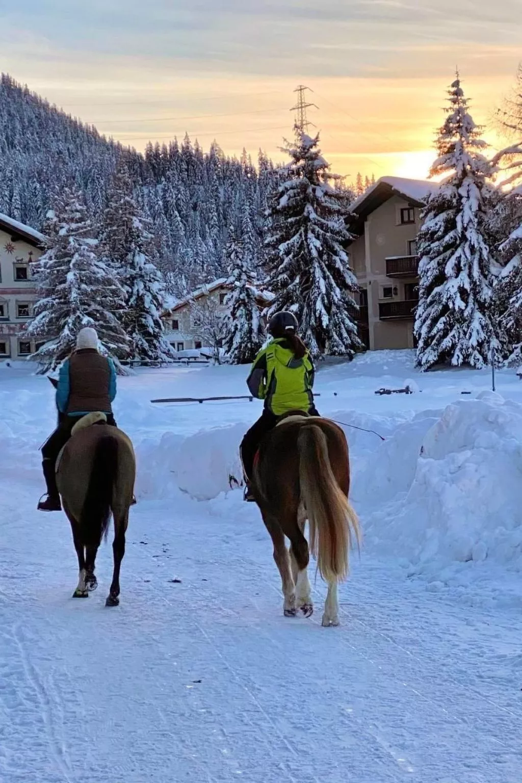 Chesa Ladina-Outside