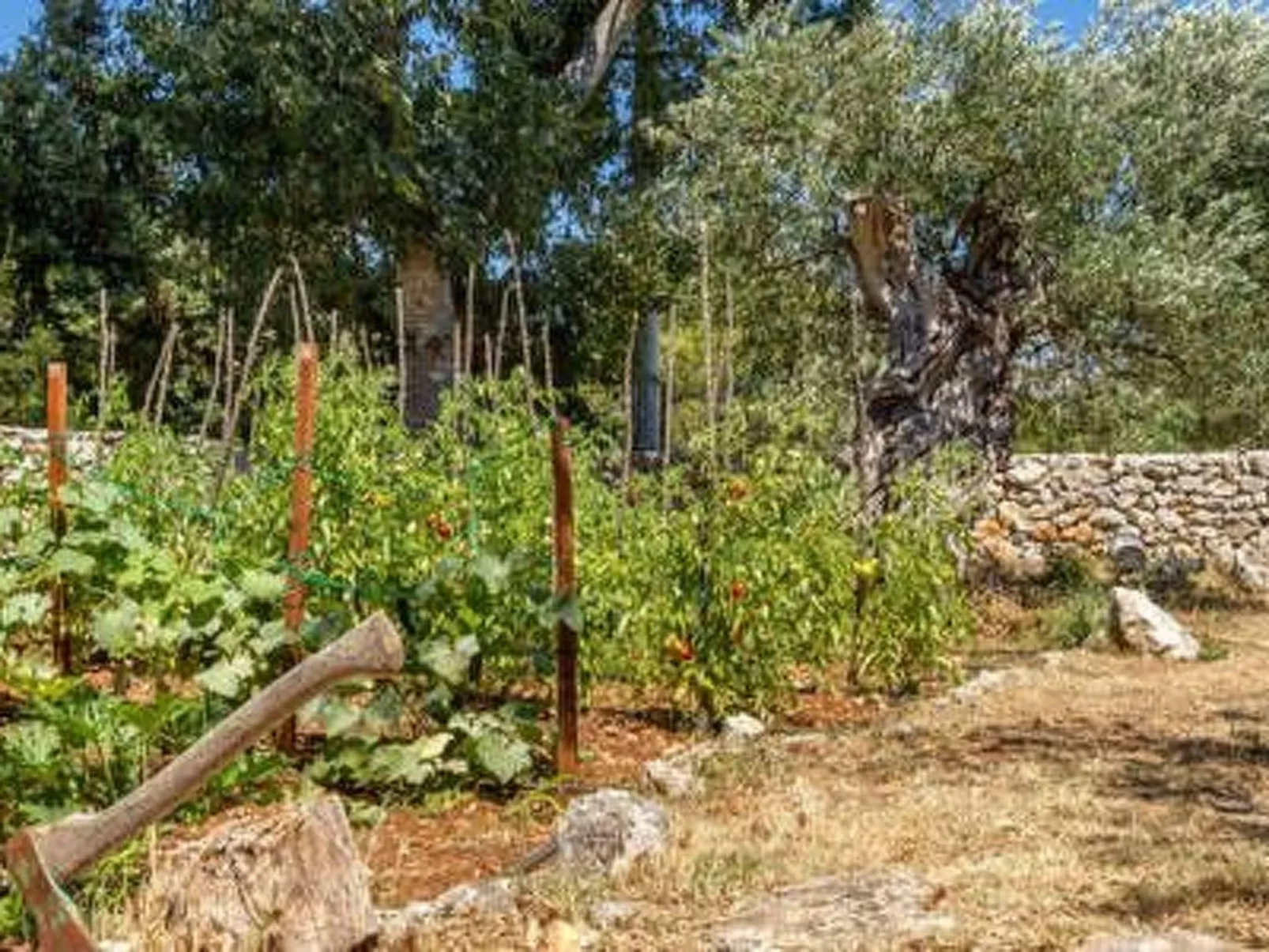 Hütte mit Garten, Grill und Terrasse-Inside
