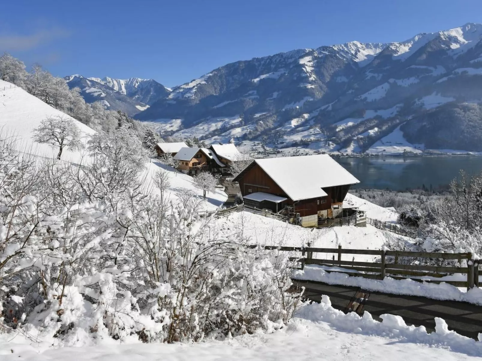 Holzhaus auf Lamahof-Image-tags.info
