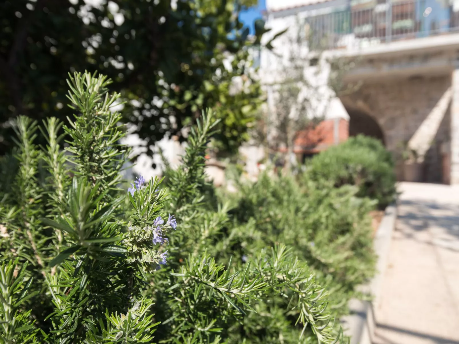 Mit Garten, Grill und Terrasse-Outside