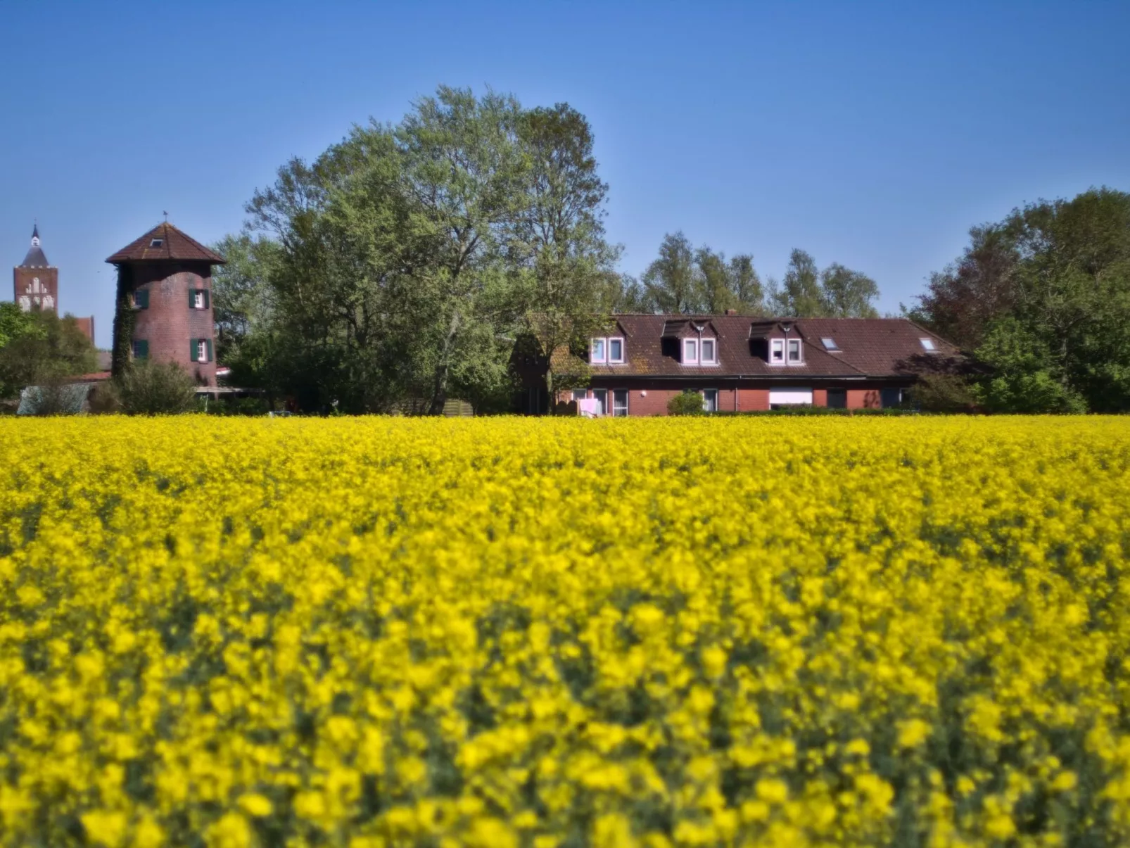 In Pilsum mit Großem Garten-Outside