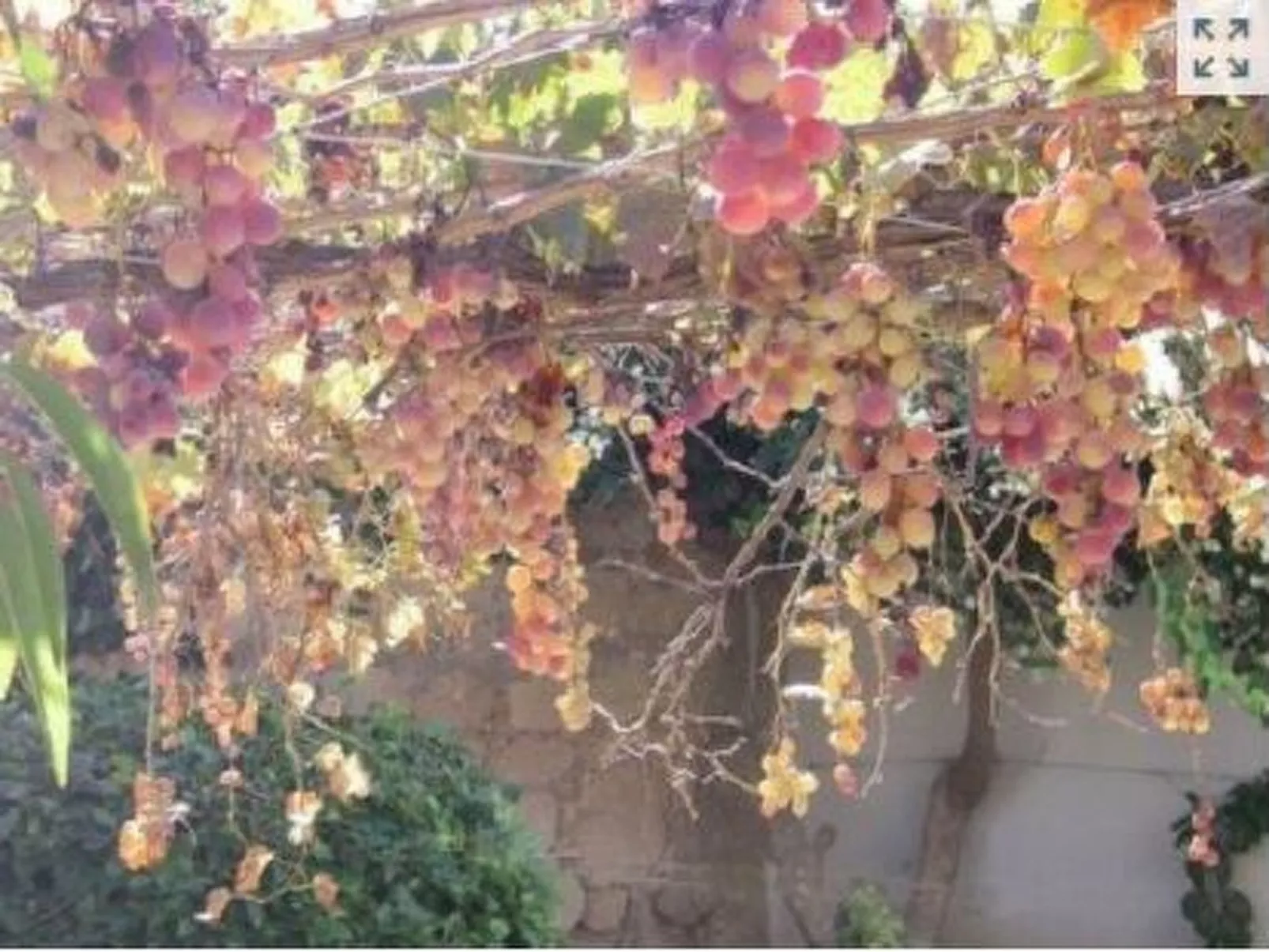 "Iptamena" mit Blick auf das Wasser-Image-tags.info