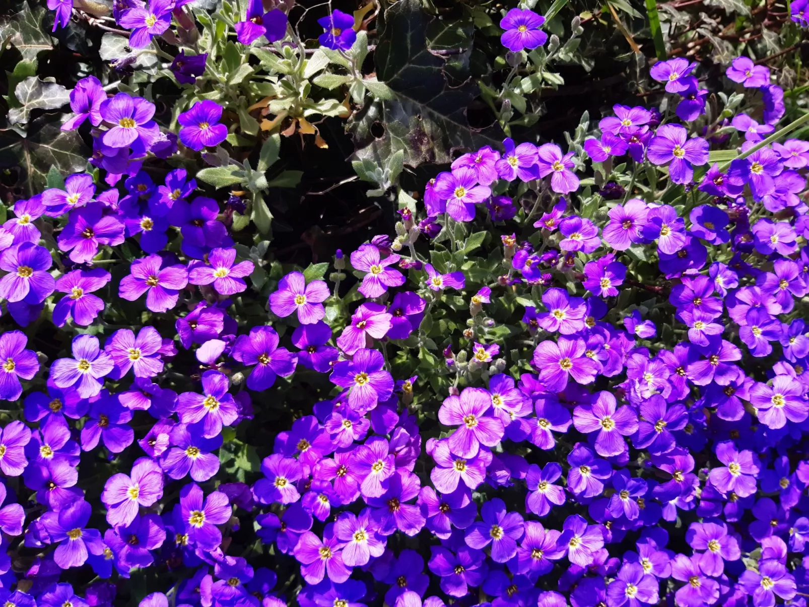 Finca "Motje" mit Aussicht-Draußen