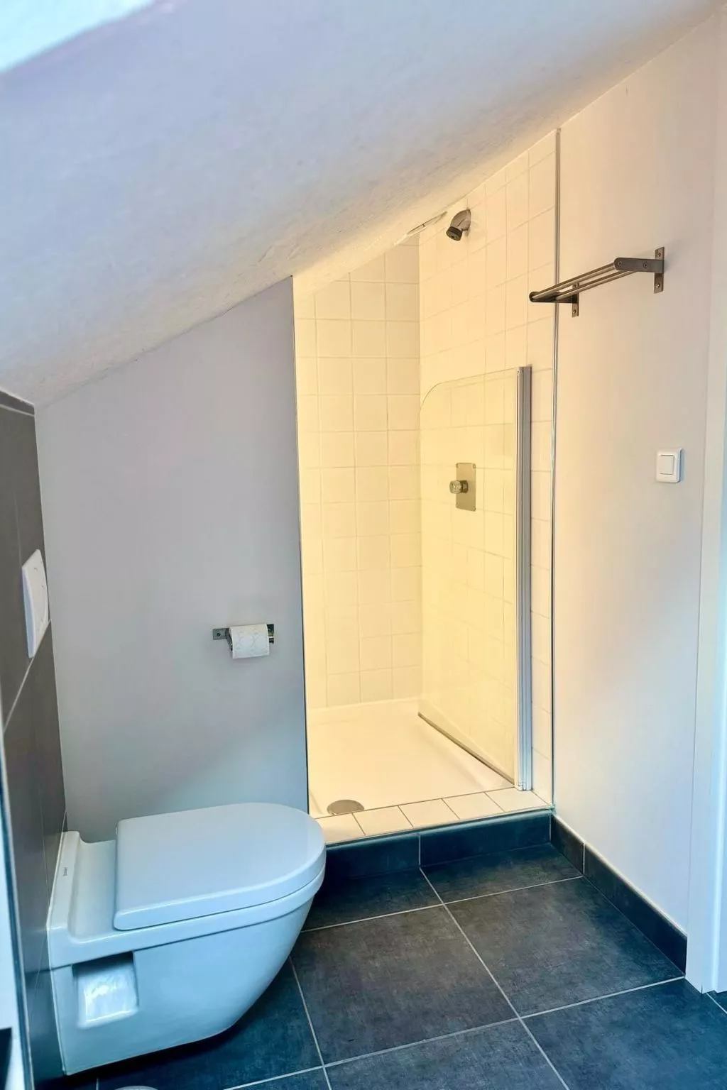 Villa "La Folie des Vosges" (Die Folie der Vogesen)-Drinnen