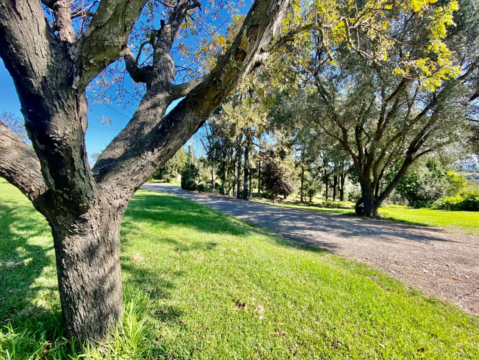 Weingut Punta della Guardia Panorama von Macchia und Meer-Outside