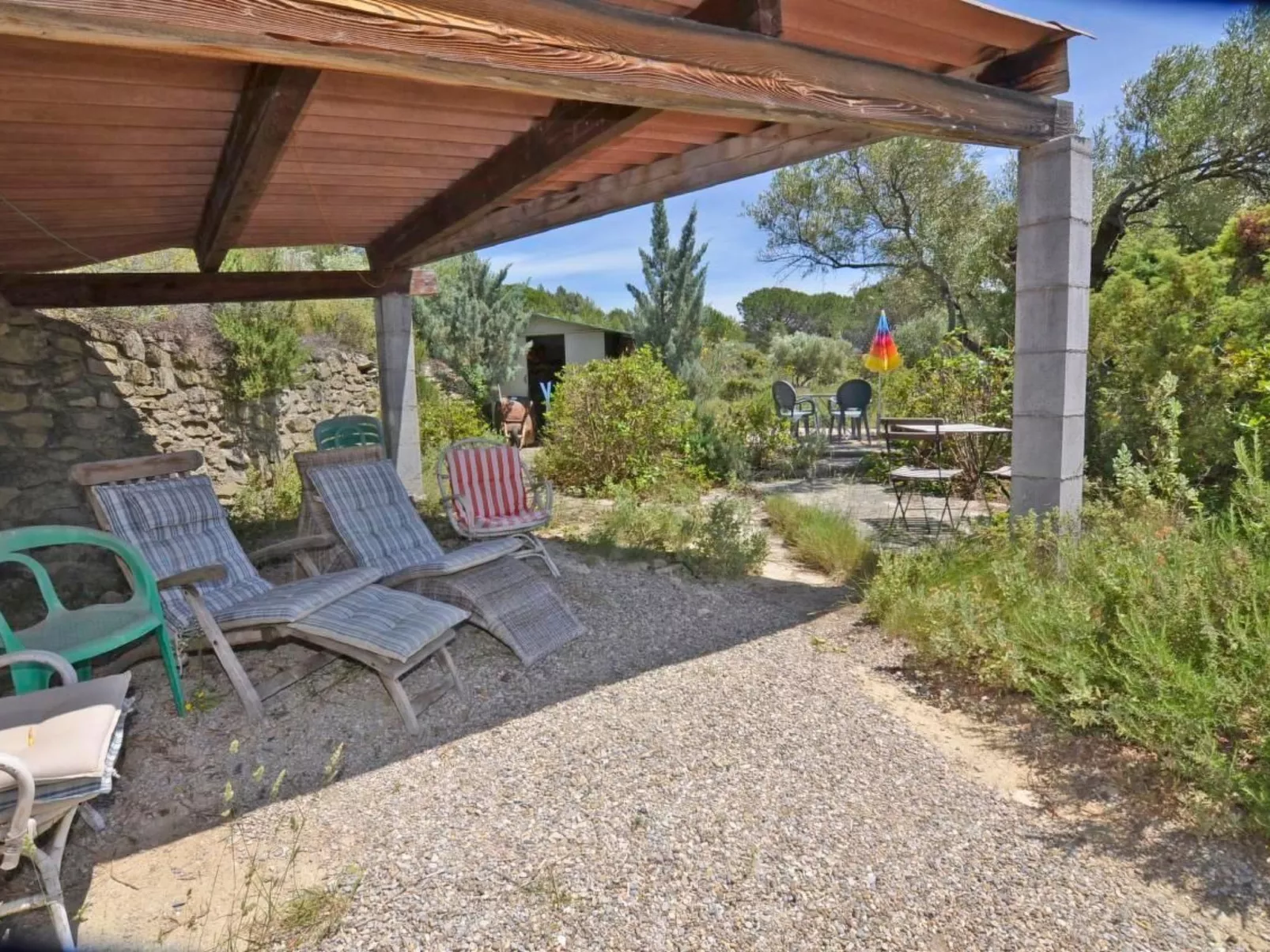 Die kleine Zikade-Dehors