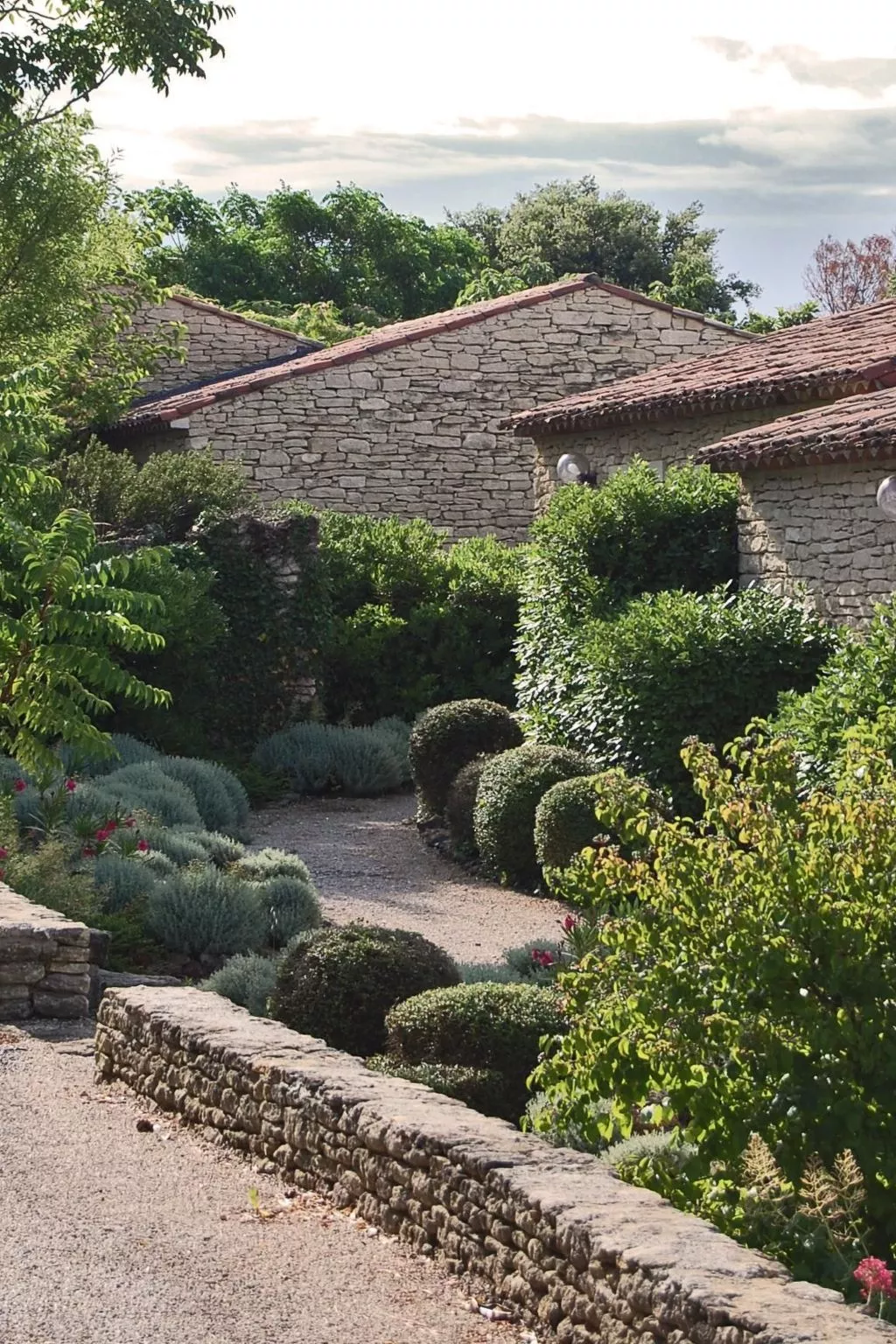 Cypres du Paradis-Draußen