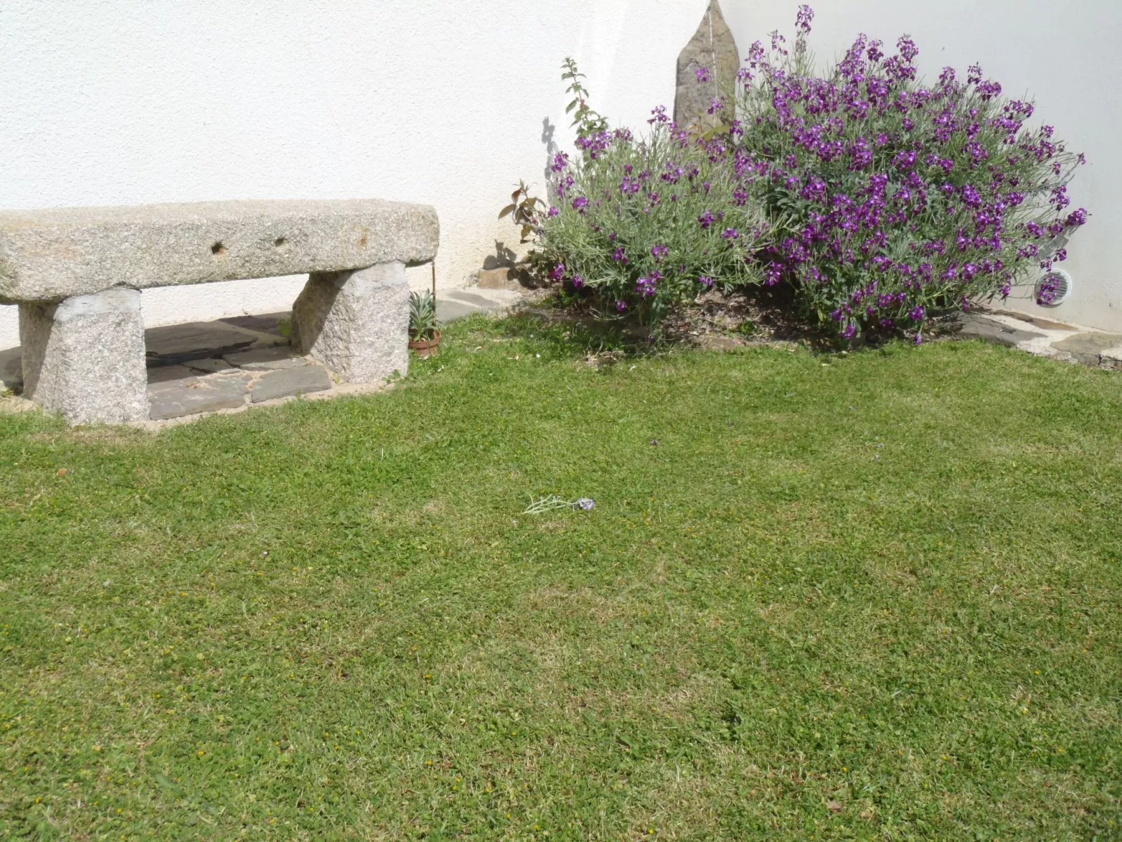 Haus Havre in Portbail-Outside