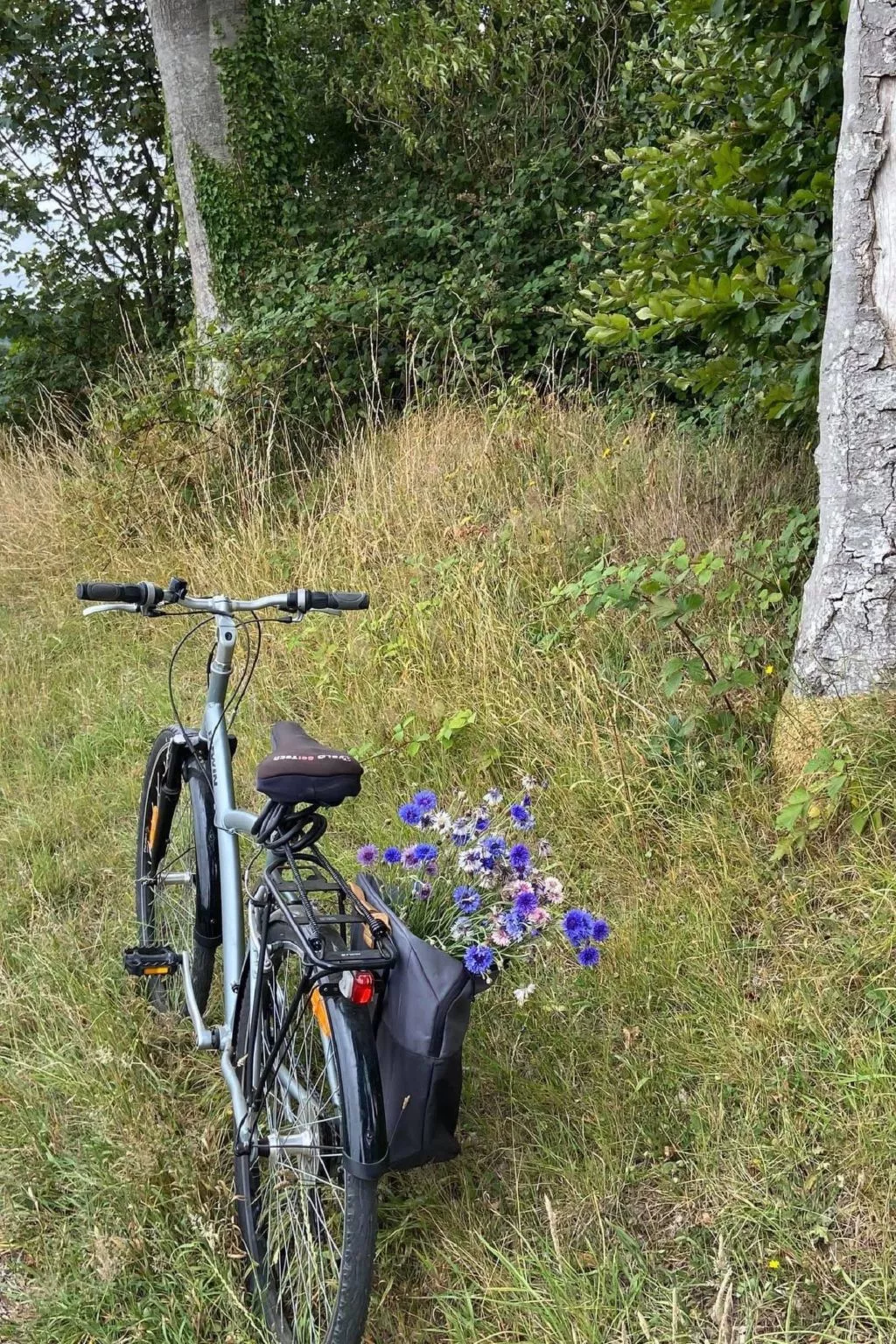 Neues normannisches Ferienhaus mit Charme die Kastanienbäume-Outside